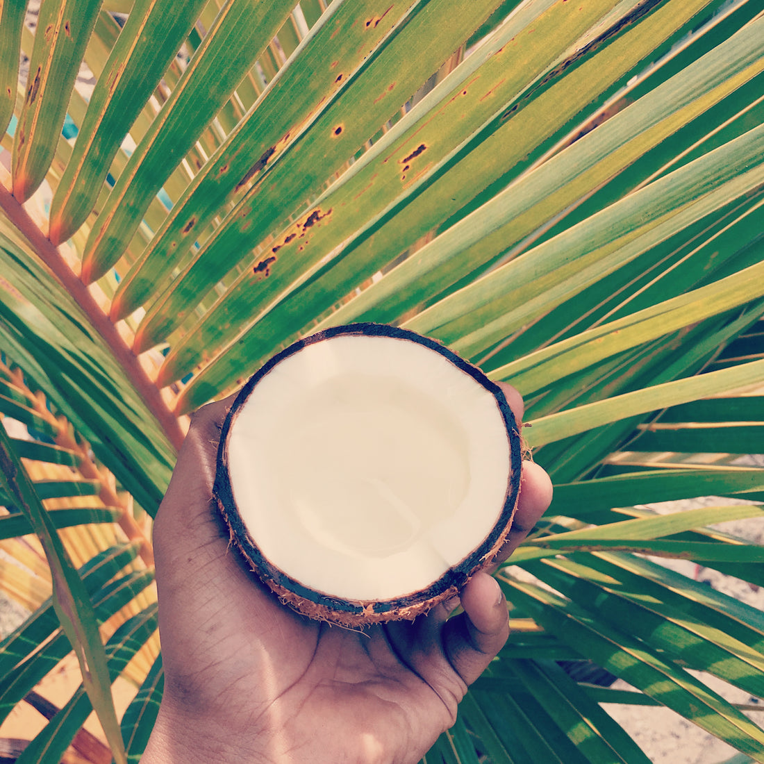 The benefits of coconut wax