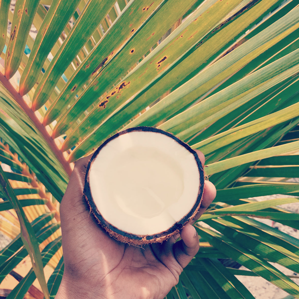 The benefits of coconut wax